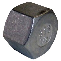 Hex Cap 15Mm For Auxiliary Outlet On Shower Stanchions
