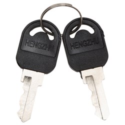 Dangerous Goods Cabinet Spare Keys - Pair